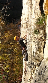 Vlastina stěna